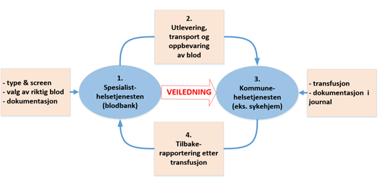 Figur 1 Samarbeid mellom spesialisthelsetjenesten og kommunehelsetjenesten ved transfusjon.png