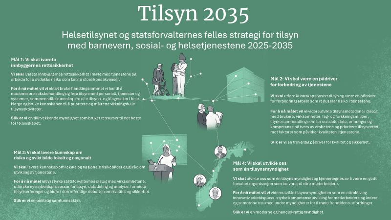Skjermdump av strategiens forside med lenke til pdf-versjon.