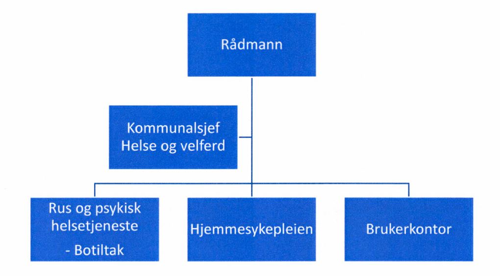 Organisasjonskart