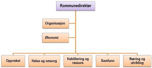 Organisasjonskart for Amli kommune. På organisasjonskartet: Kommunedirektør - Organisasjon - Økonomi - Oppvekst - Helse- og omsorg - Habilitering og ressurs - Samfunn - Næring og utvikling