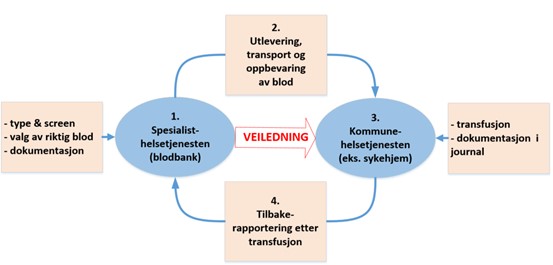 Figur av samarbeid mellom spesialisthelsetjenesten og kommunehelsetjenensten ved transfusjon Bergen kommune