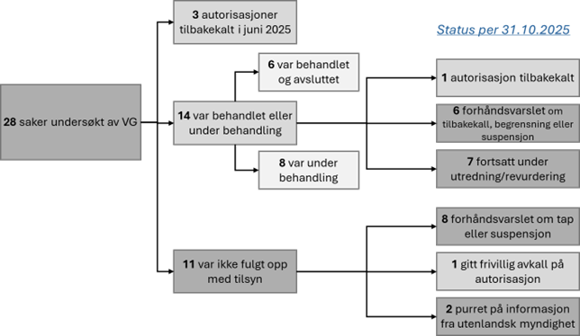 Flytskjema som viser status og oppfølging av 28 saker undersøkt av VG, med hovedtall for behandling og autorisasjonstiltak.