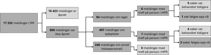 Flytskjema over antall IMI-meldinger og fordeling på yrkesgrupper, HPR-treff og hvilke saker som følges opp.