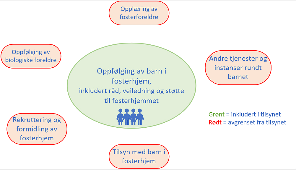 Figur 1 viser avgrensninger av tilsynet slik det er beskrevet i dette kapittelet. hva som er utelatt og hva som er inkludert.