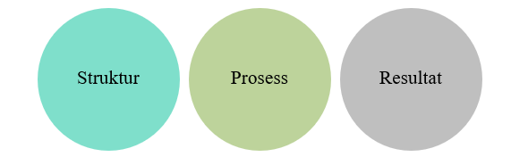 Donabedians SPO-modell for kvalitetsforbedring, Struktur, prosess, resultat