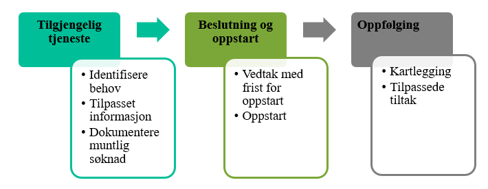 Modell som viser temaer som skal undersøkes i tilsynet