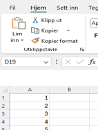 Skjermbilde excel