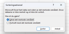skjermbilde excel