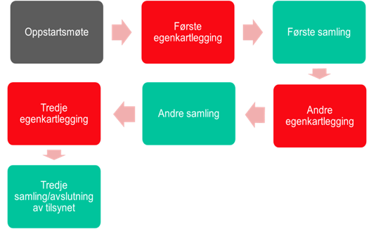 Figuren viser en enkel prosess/arbeidsflyt som et flytskjema med bokser koblet sammen med piler. Selve flyten går trinnvis fra venstre mot høyre (og videre gjennom en sekvens), der det veksles mellom samlinger og egenkartlegginger: 1. Oppstartsmøte (startpunkt for figuren) 2. Første egenkartlegging 3. Første samling 4. Andre egenkartlegging 5. Andre samling 6. Tredje egenkartlegging 7. Tredje samling/avslutning av tilsynet (sluttpunkt) Piler mellom boksene viser rekkefølgen og at hvert trinn leder videre til neste, med et gjentakende mønster der egenkartlegging etterfølges av samling, frem til avslutning.