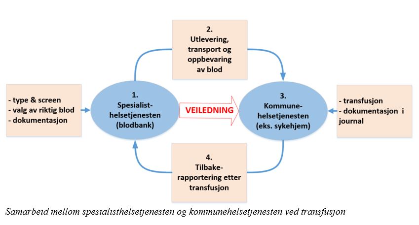 Samarbeid mellom spesialisthelsetjenesten og kommunehelsetjenesten ved transfusjon