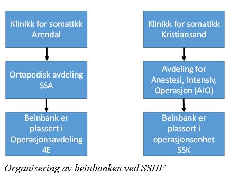 Organisering av beinbanken ved SSHF