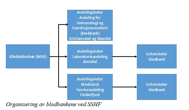 Organisering av blodbankene ved SSHF