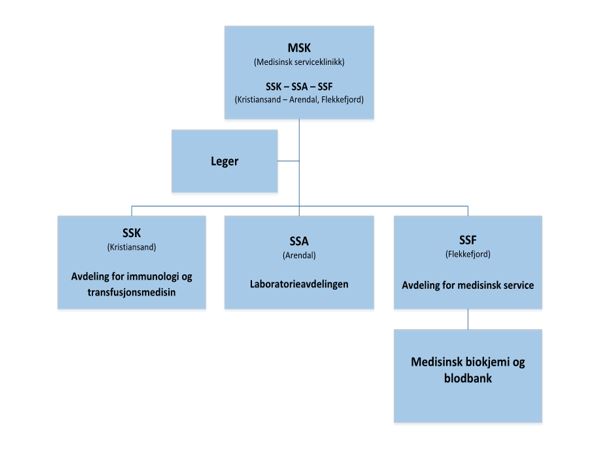 Organisering av blodbankvirksomheten under MSK: