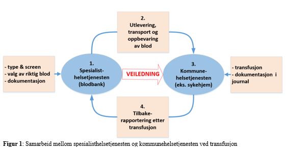 Figur 1: Samarbeid mellom spesialisthelsetjenesten og kommunehelsetjenesten ved transfusjon