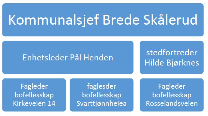Habilitering organisering Songdalen kommune