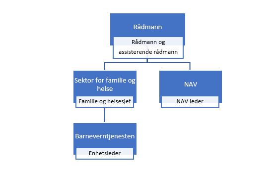 forenklet organisasjonskart Elverum landsomfattende tilsyn 2019