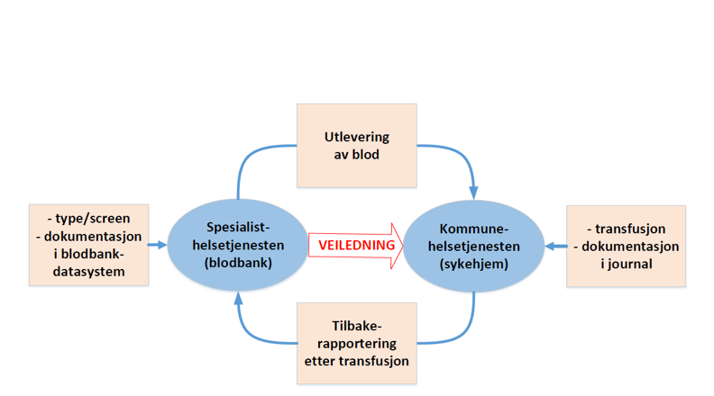 Figur 1: Samarbeid mellom spesialisthelsetjenesten og kommunehelsetjenesten ved transfusjon