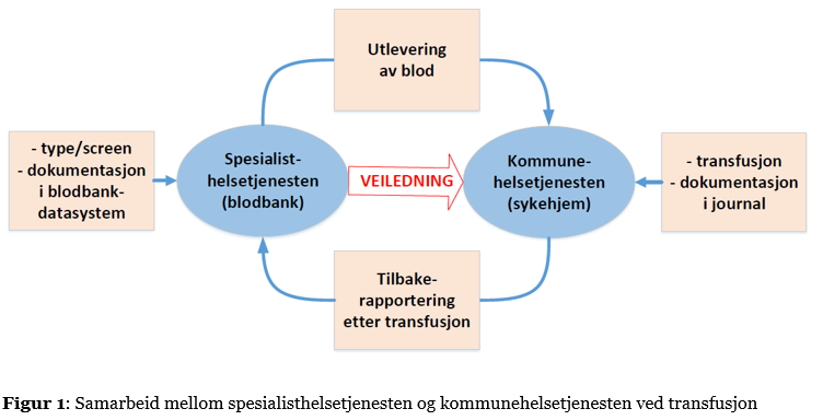 Figur 1: Samarbeid mellom spesialisthelsetjenesten og kommunehelsetjenesten ved transfusjon