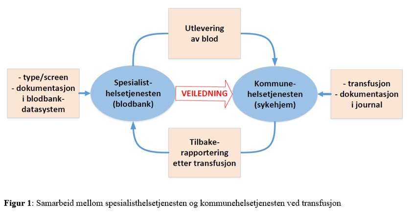 Figur 1: Samarbeid mellom spesialisthelsetjenesten og kommunehelsetjenesten ved transfusjon