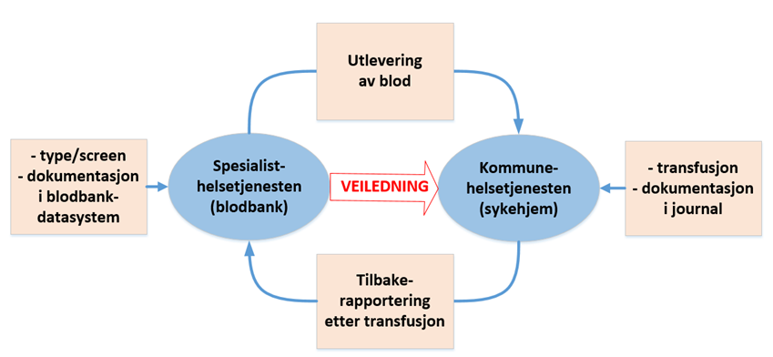 Figur 1 Samarbeid mellom spesialist- og kommunehelsetjenesten ved transfusjon