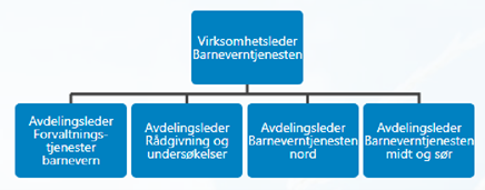 Barneverntjenestens organisering