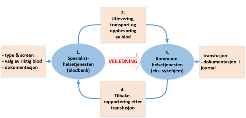 Figur 1: Samarbeid mellom spesialisthelsetjenesten og kommunehelsetjenesten ved transfusjon