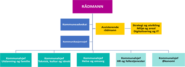 Ringerike kommunens organisering.png