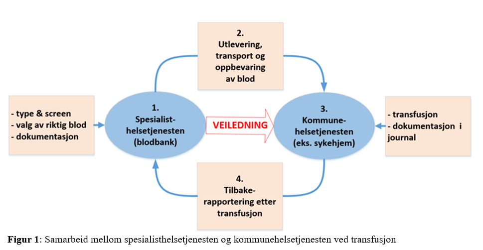 Figur 1: Samarbeid mellom spesialisthelsetjenesten og kommunehelsetjenesten ved transfusjon
