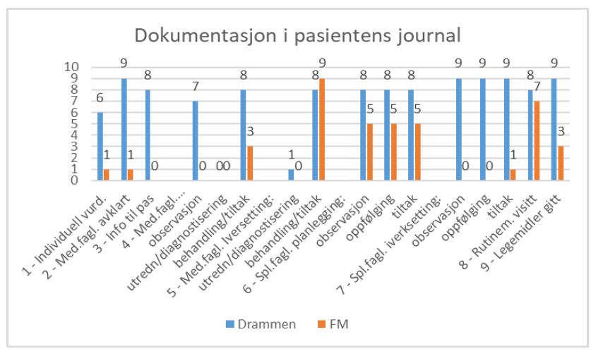 Dokumentasjon i pasientenes journal Drammen sykehus