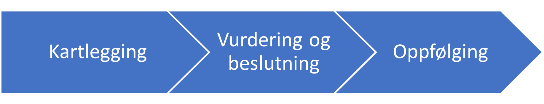 Arbeidsprosesser - Kartlegging - Vurdering og beslutning - Oppfølging