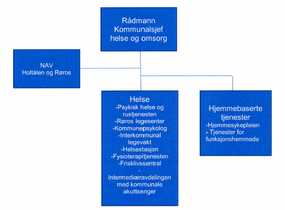 Organisasjonskart