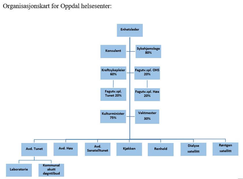 Organisasjonskart for Oppdal helsesenter: