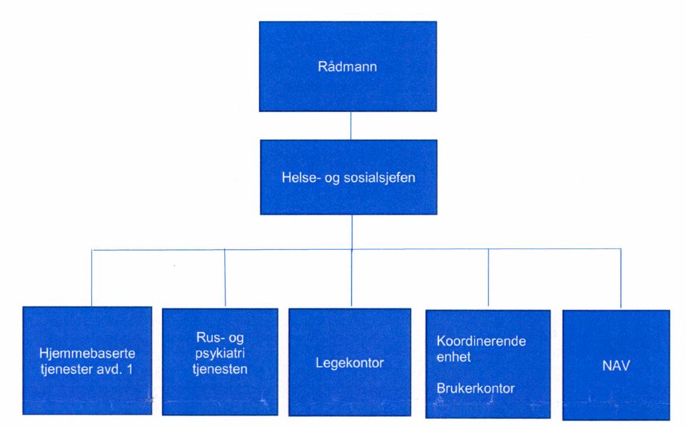 Organisasjonskart involverte enheter Vikna 2019