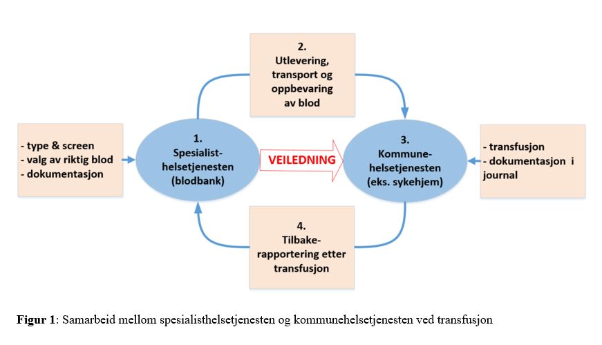 Figur 1: Samarbeid mellom spesialisthelsetjenesten og kommunehelsetjenesten ved transfusjon