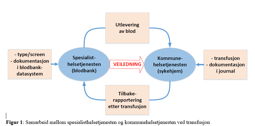 Figur 1: Samarbeid mellom spesialisthelsetjenesten og kommunehelsetjenesten ved transfusjon