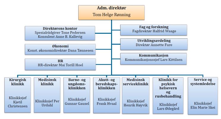 Helseforetaket organisering. Sykehuset Telemark HF