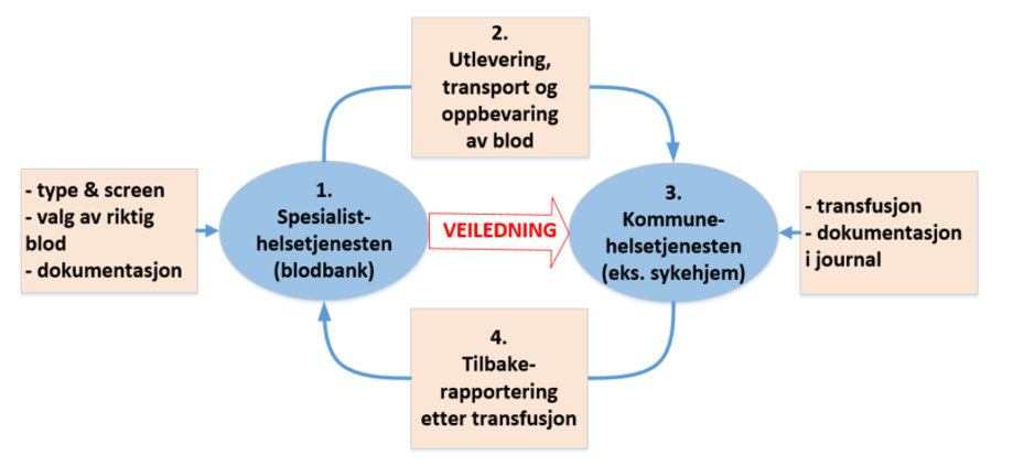 Figur 1: Samarbeid mellom spesialisthelsetjenesten og kommunehelsetjenesten ved transfusjon