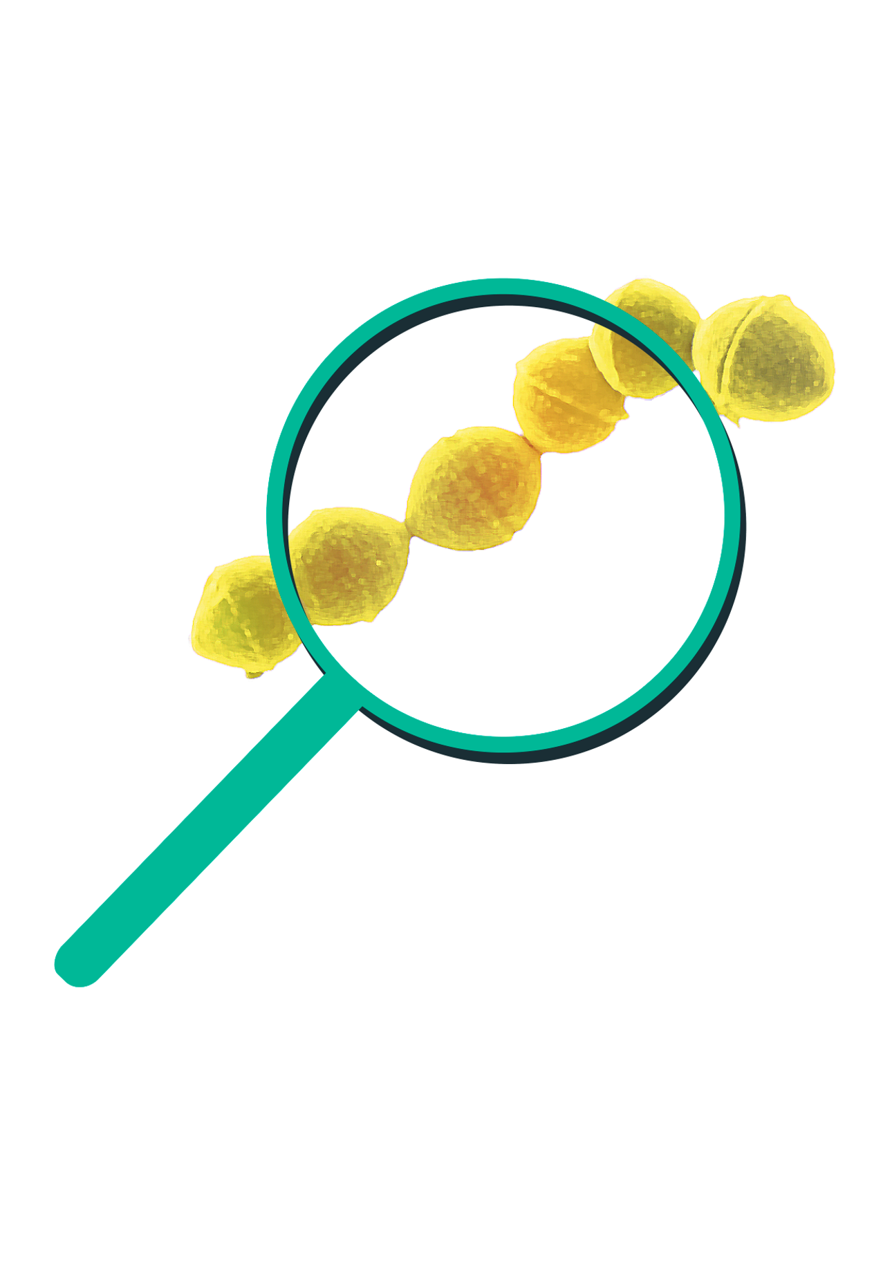 Illustrasjonsbildet streptokokker og forstørrelsesglass